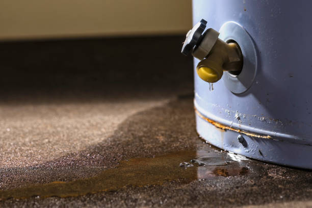 Best 24/7 water damage repair  in Glenn Heights, TX