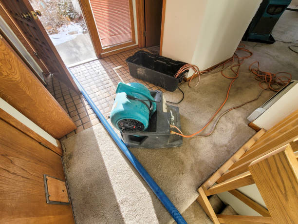 Best Fire Damage Restoration  in Glenn Heights, TX