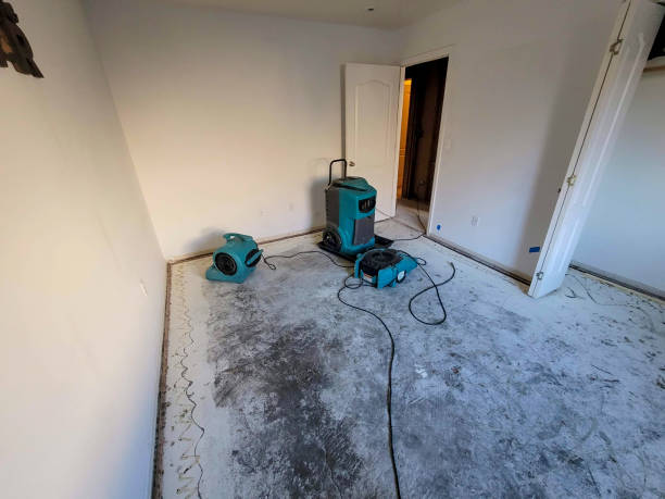 Best Flood damage cleanup  in Glenn Heights, TX