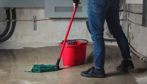 Best Water damage restoration near me  in Glenn Heights, TX