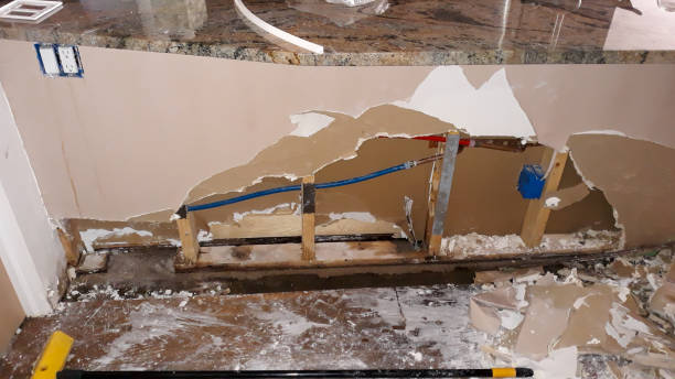 Best Water damage cleanup near me  in Glenn Heights, TX