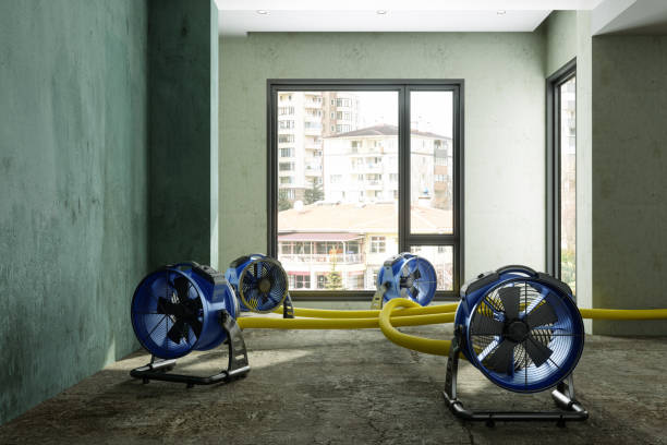 Best Carpet water damage restoration  in Glenn Heights, TX