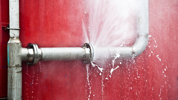 Best Flooded house restoration  in Glenn Heights, TX